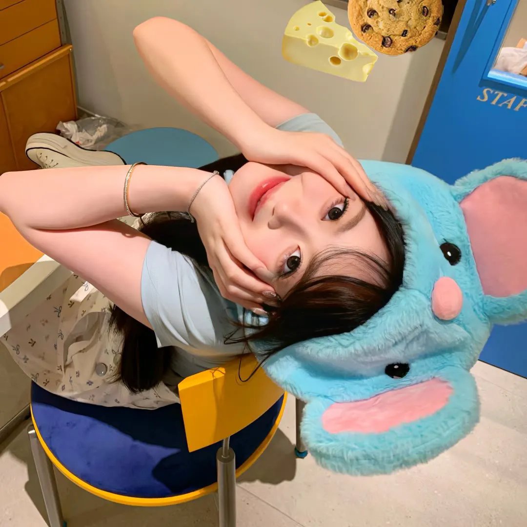 送子鸟高清封面